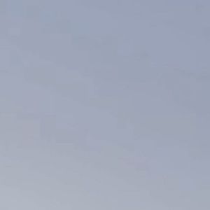 Meet your Posher, Willa